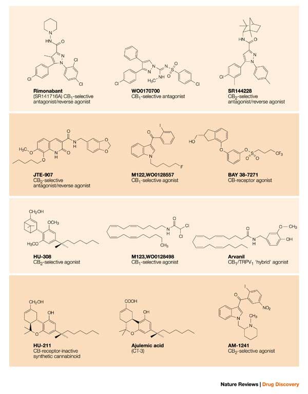 Goods and Bads of the Endocannabinoid System as a Therapeutic Target:  Lessons Learned after 30 Years