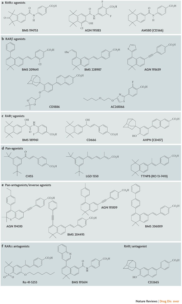 Rar And Rxr Modulation In Cancer And Metabolic Disease Nature Reviews Drug Discovery