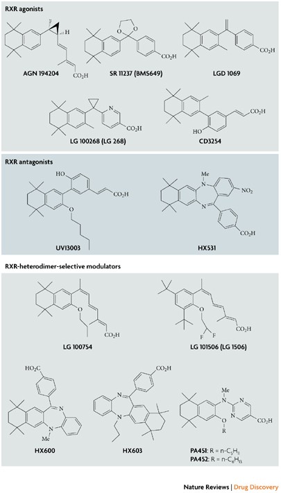 Rar And Rxr Modulation In Cancer And Metabolic Disease Nature Reviews Drug Discovery