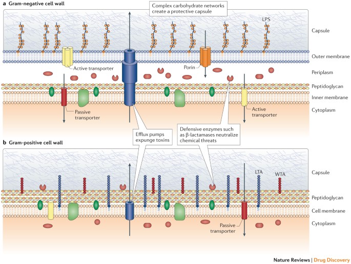 Eskapeing The Labyrinth Of Antibacterial Discovery Nature Reviews Drug Discovery Eskapeing The Labyrinth Of Antibacterial Discovery Nature Reviews Drug Discovery