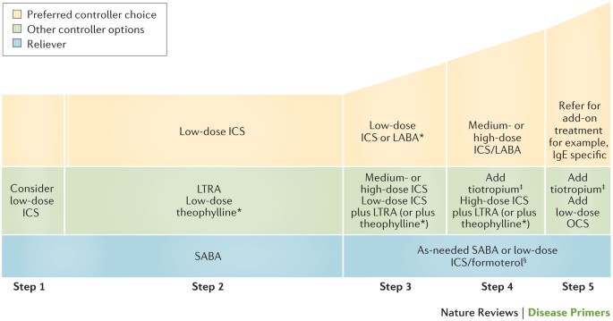 Asthma | Nature Reviews Disease Primers