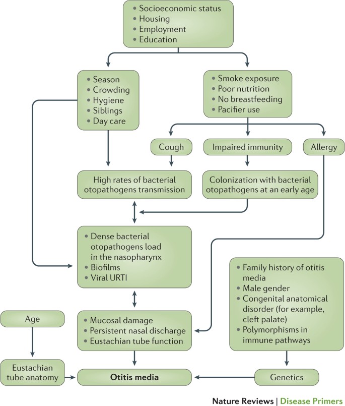 Effectiveness of corticosteroids in otitis media with effusion: an