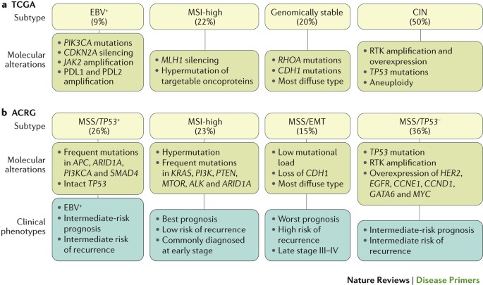 gastric cancer review