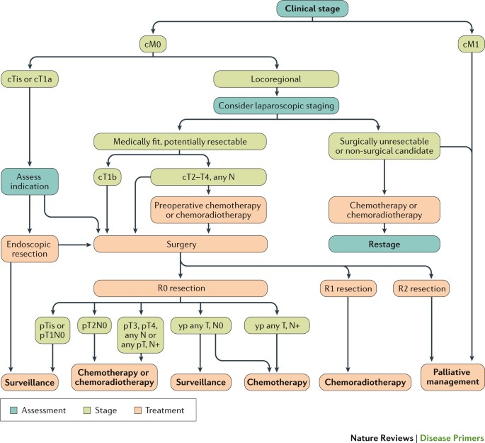 ASPECTE DE DIAGNOSTIC AL CANCERULUI ESOFAGIAN