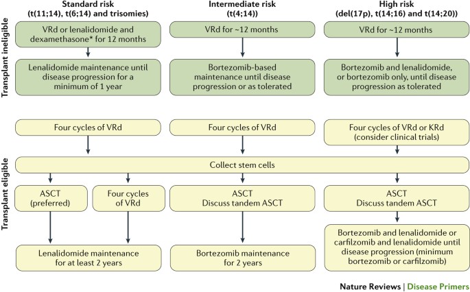 Multiple Myeloma | Nature Reviews Disease Primers