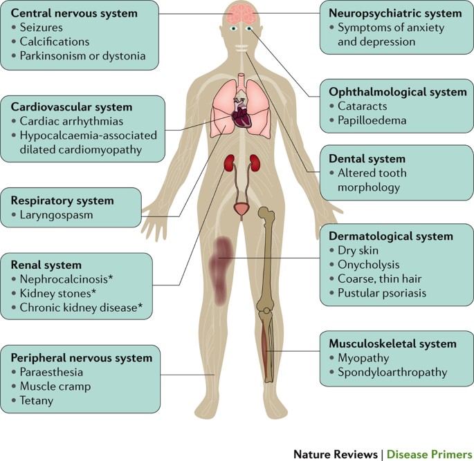 hyperparathyroidism and hypoparathyroidism