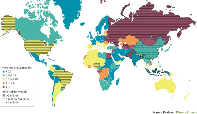 Hepatitis C Virus Infection Nature Reviews Disease Primers