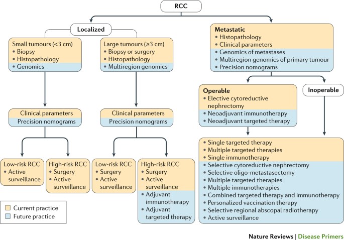 Renal cell carcinoma | Nature Reviews Disease Primers