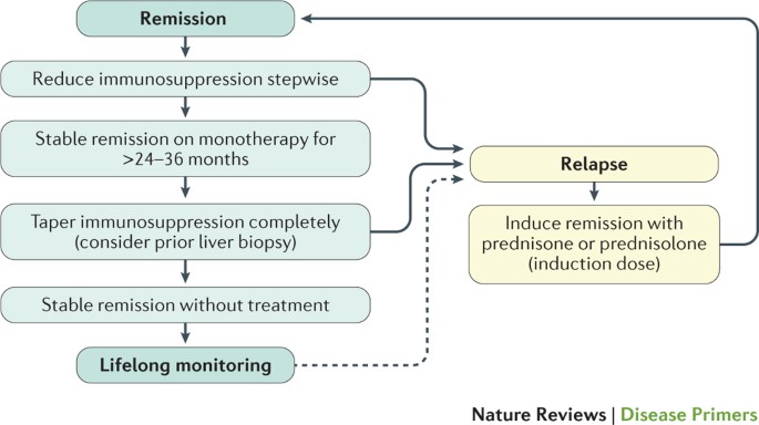 Autoimmune Hepatitis Nature Reviews Disease Primers