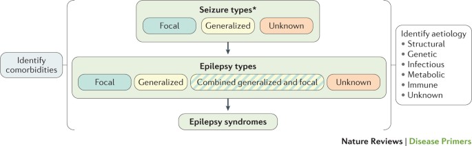 glutathione consumption Ferroptosis as a therapeutic target in glioblastoma: Mechanisms and  emerging strategies: Molecular Therapy Nucleic Acids main image 1