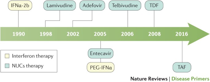 Hepatitis B Virus Infection Nature Reviews Disease Primers