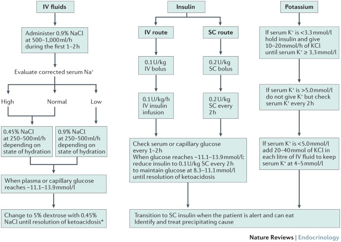 Diabetic Emergencies Ketoacidosis Hyperglycaemic Hyperosmolar State And Hypoglycaemia Nature Reviews Endocrinology