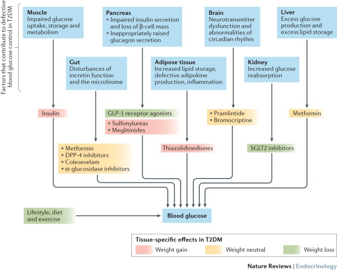practical diabetes impact factor