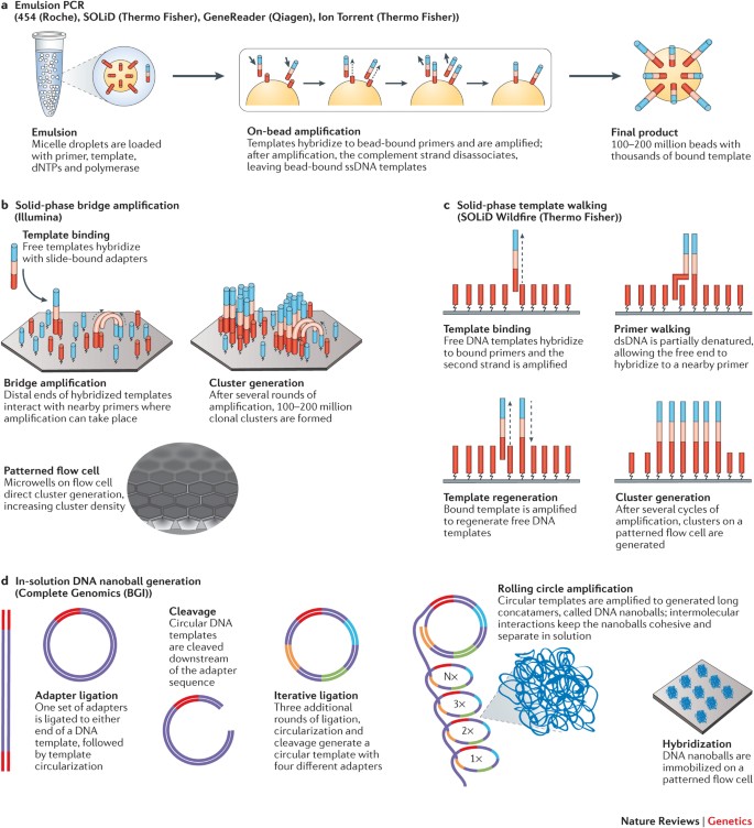 Coming age: ten years of next-generation sequencing technologies Nature Reviews Genetics