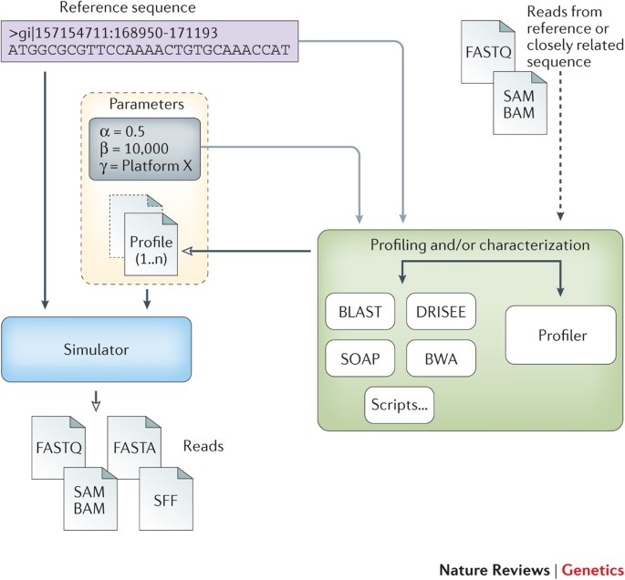 Art a next generation sequencing read simulator