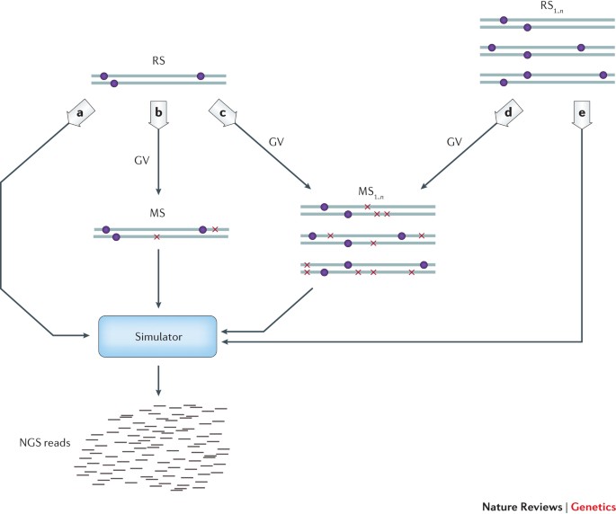 A Comparison Of Tools For The Simulation Of Genomic Next Generation Sequencing Data Nature Reviews Genetics