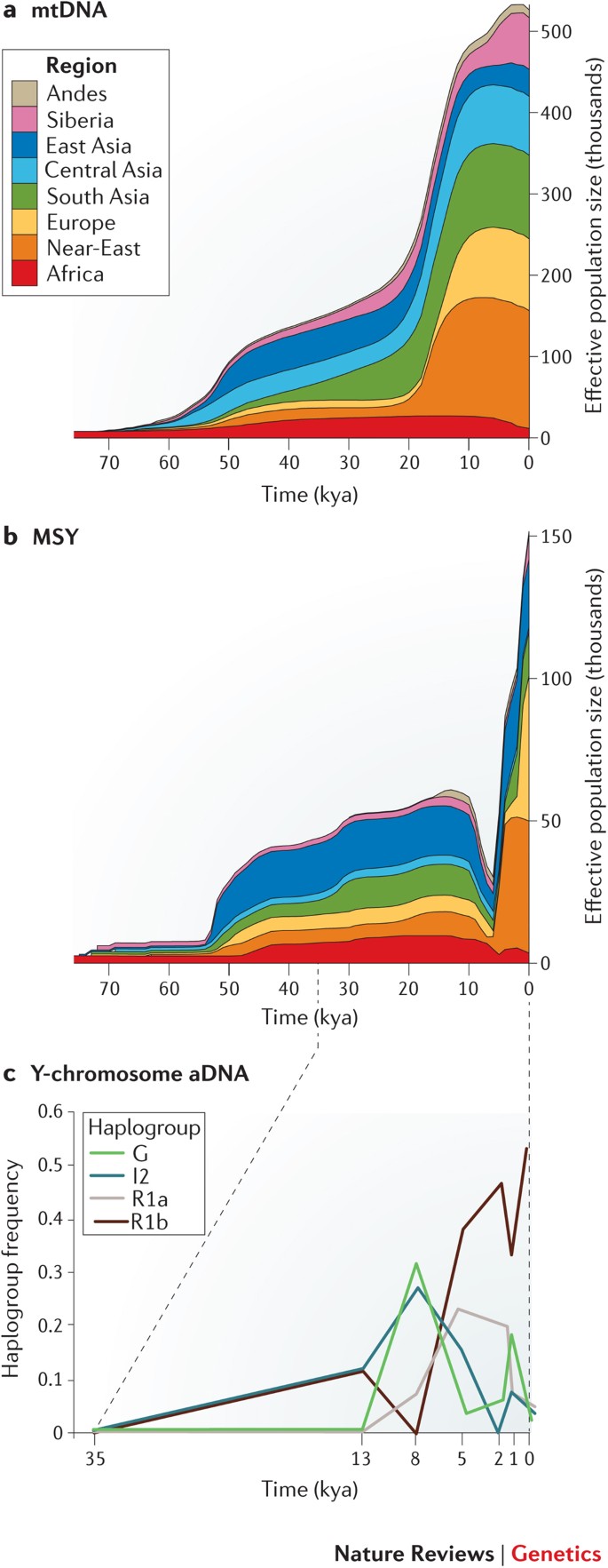 Human Y-chromosome variation in the genome-sequencing era | Nature Reviews  Genetics