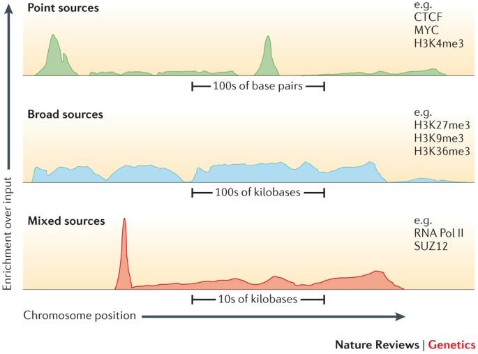 Sequencing depth and coverage: key considerations in genomic analyses |  Nature Reviews Genetics
