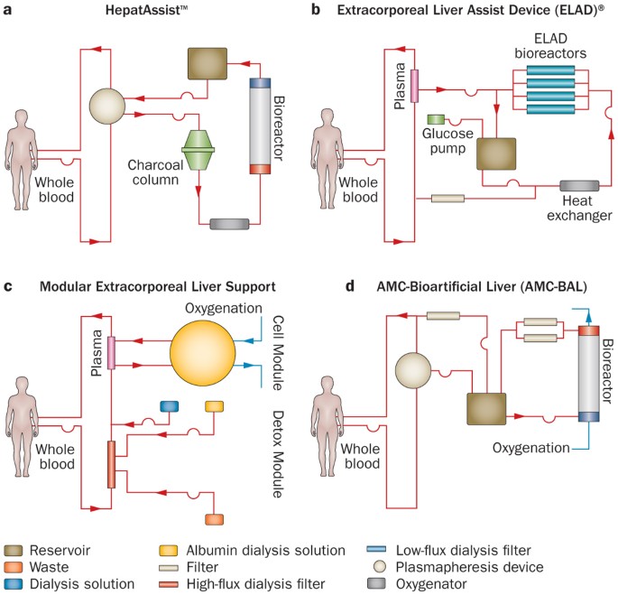 Health Economics for Liver support system Health Economics for Liver support system