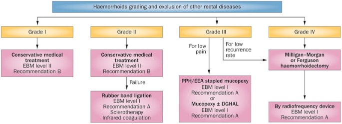Conservative And Surgical Treatment Of Haemorrhoids Nature Reviews Gastroenterology Hepatology