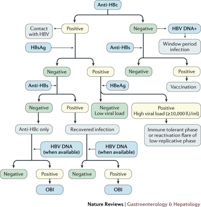 Screening and diagnosis of HBV in low-income and middle-income countries |  Nature Reviews Gastroenterology & Hepatology