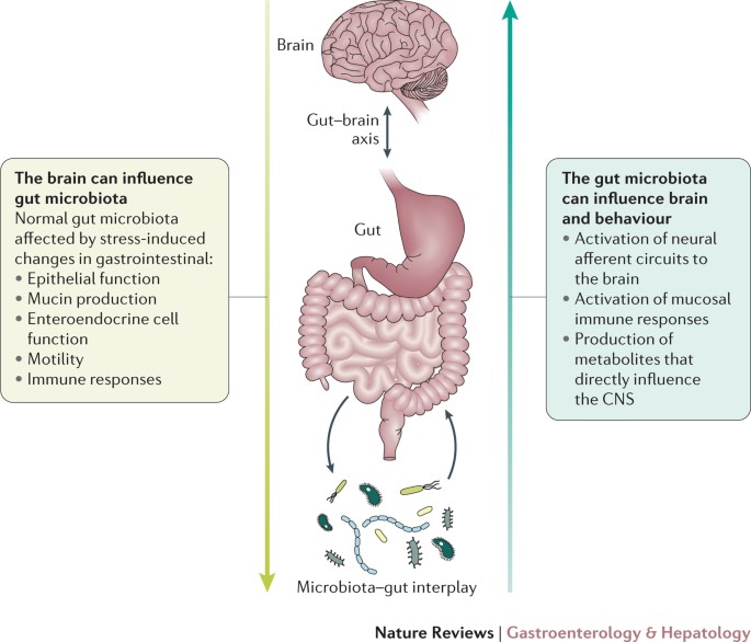 Gut microbiome as a clinical tool in gastrointestinal disease management: are we there | Reviews Gastroenterology &