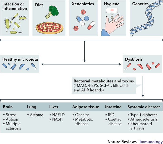 dysbiosis nature