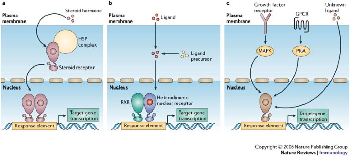 nuclear receptors in inflammation