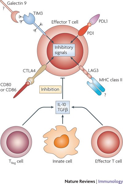 figure2