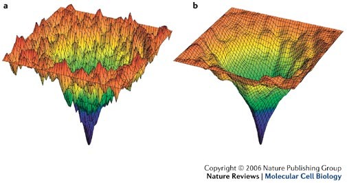 Do we underestimate the importance of water in cell biology? | Nature  Reviews Molecular Cell Biology