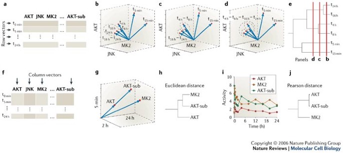 Data-driven modelling of signal-transduction networks | Nature Reviews  Molecular Cell Biology
