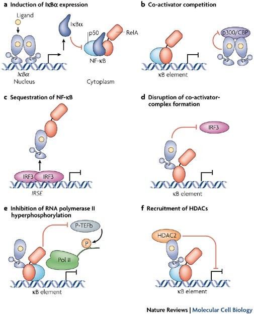 Integrating Cell Signalling Pathways With Nf Kb And Ikk Function Nature Reviews Molecular Cell Biology