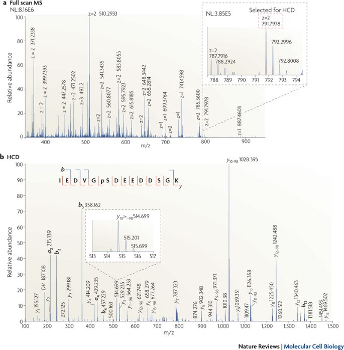 Decoding Signalling Networks By Mass Spectrometry Based Proteomics Nature Reviews Molecular Cell Biology Decoding Signalling Networks By Mass Spectrometry Based Proteomics Nature Reviews Molecular Cell Biology