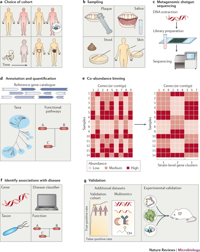 Metagenome Wide Association Studies Fine Mining The Microbiome Nature Reviews Microbiology