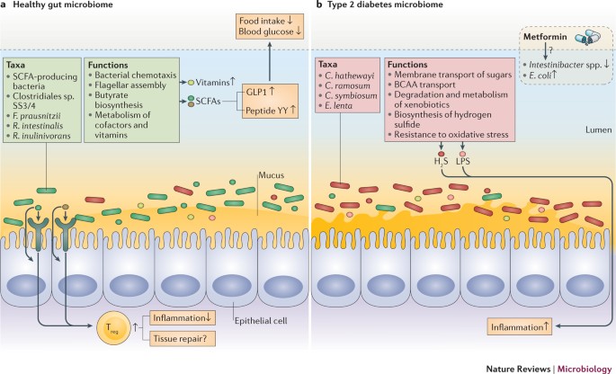 Metagenome Wide Association Studies Fine Mining The Microbiome Nature Reviews Microbiology