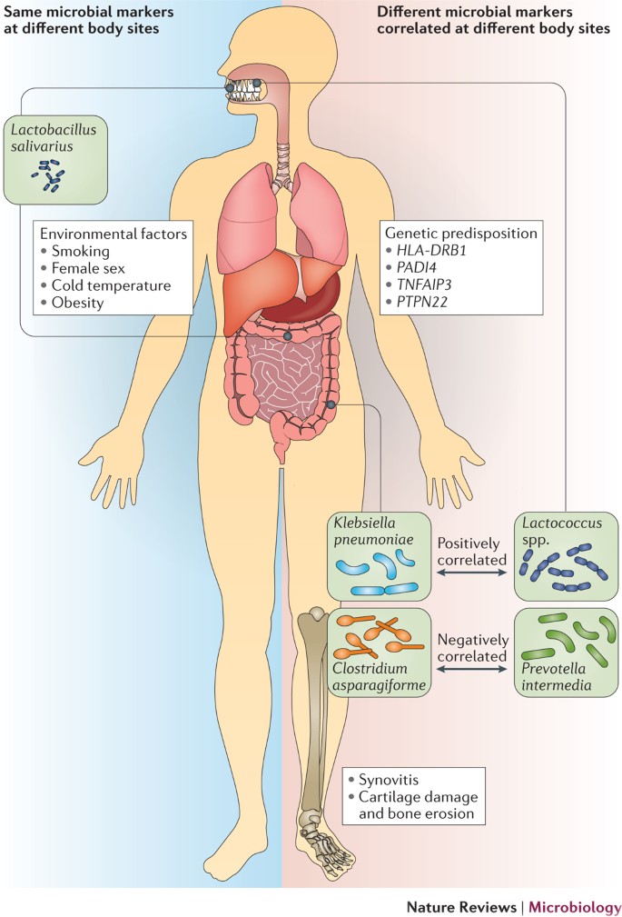 Metagenome Wide Association Studies Fine Mining The Microbiome Nature Reviews Microbiology