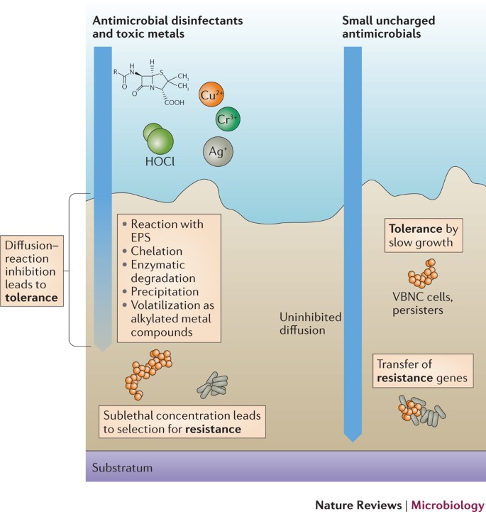 Biofilms an emergent form of bacterial life