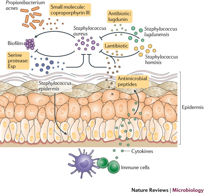 figure3