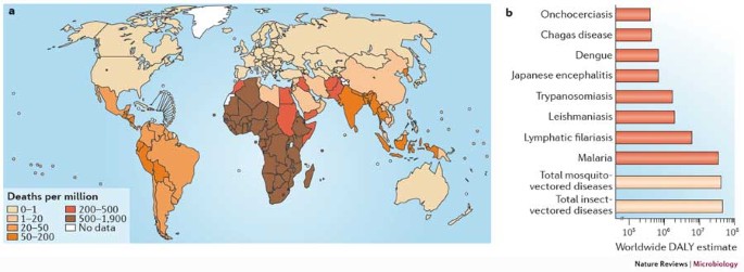 Beyond Insecticides New Thinking On An Ancient Problem Nature Reviews Microbiology