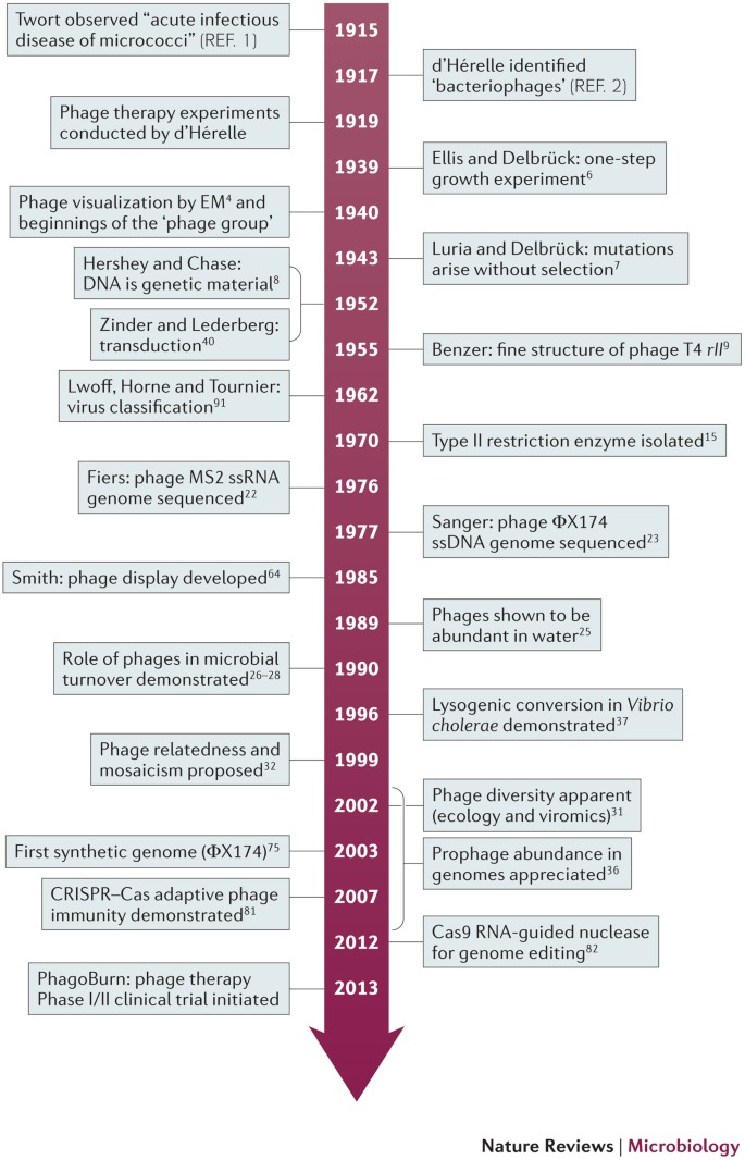 A Century Of The Phage Past Present And Future Nature Reviews
