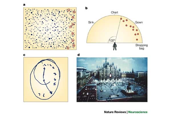 Non Spatially Lateralized Mechanisms In Hemispatial Neglect Nature Reviews Neuroscience