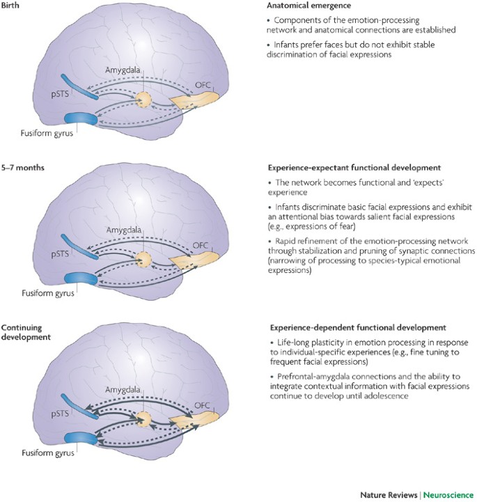 What are Typical Emotional Responses in Newborn: Key Insights Revealed