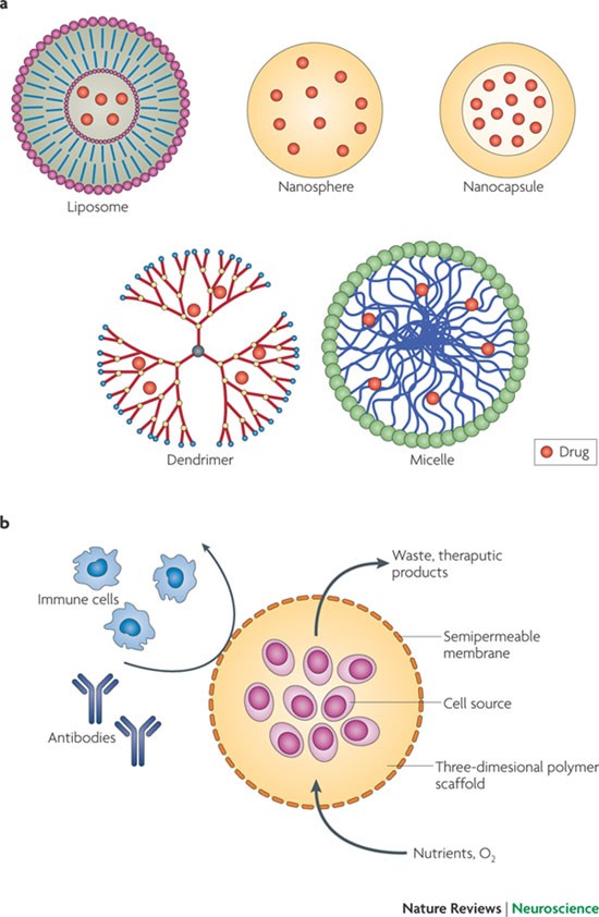 Biomaterials For Promoting Brain Protection Repair And Regeneration Nature Reviews Neuroscience