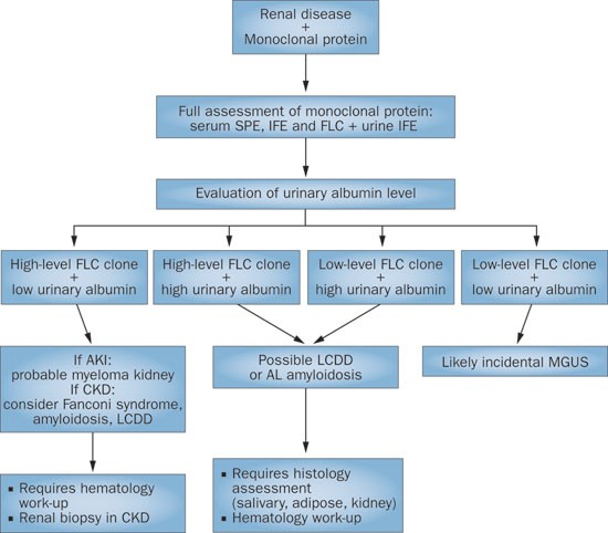 The Pathogenesis And Diagnosis Of Acute Kidney Injury In Multiple Myeloma Nature Reviews Nephrology