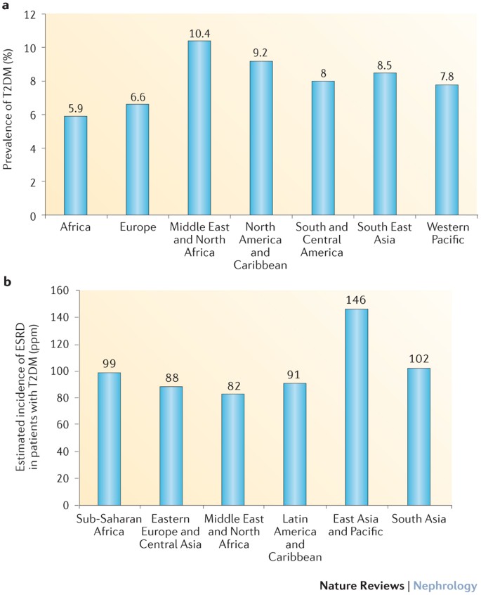 Global, regional, and national burden of diabetes from 1990 to 2021, with  projections of prevalence to 2050: a systematic analysis for the Global  Burden of Disease Study 2021 - The Lancet