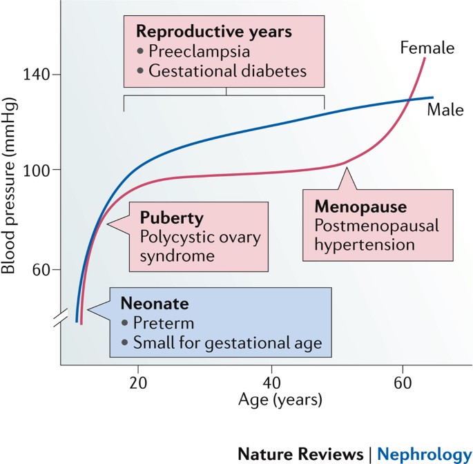Sex Specific Differences In Hypertension And Associated Cardiovascular Disease Nature Reviews Nephrology