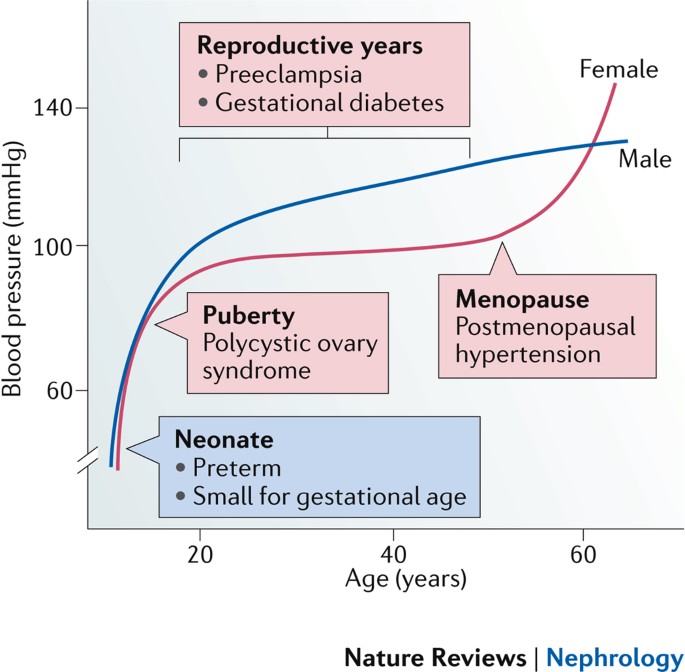 Sex Specific Differences In Hypertension And Associated Cardiovascular Disease Nature Reviews Nephrology Sex Specific Differences In Hypertension And Associated Cardiovascular Disease Nature Reviews Nephrology