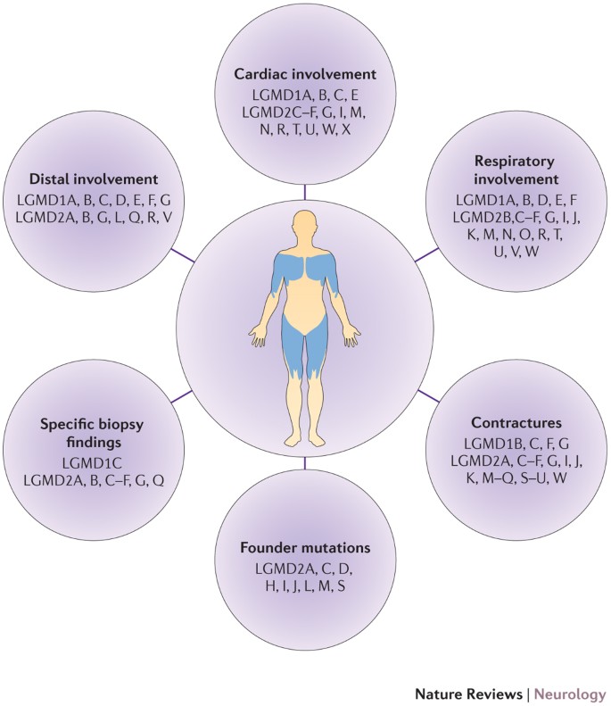 Limb Girdle Muscular Dystrophies International Collaborations For Translational Research Nature Reviews Neurology