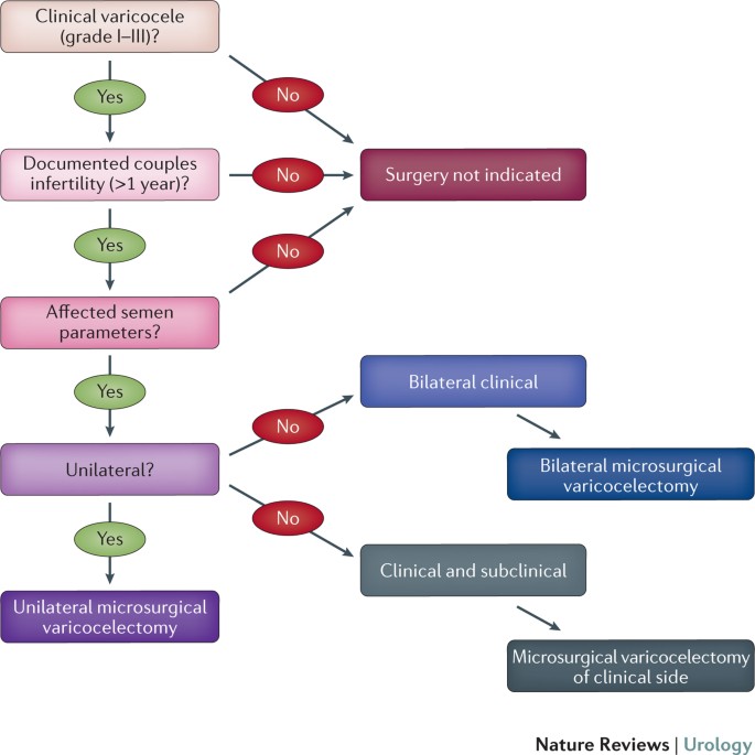 Varicocele and Male Infertility: The Elephant in The Room