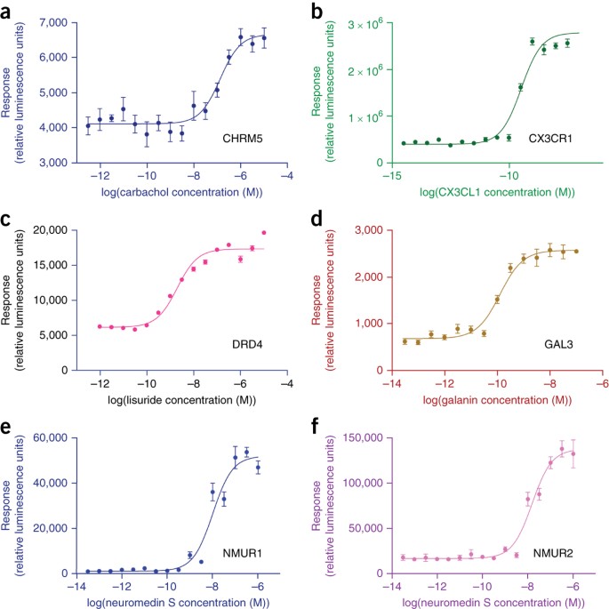 PRESTO-Tango as an open-source resource for interrogation of the druggable  human GPCRome | Nature Structural & Molecular Biology